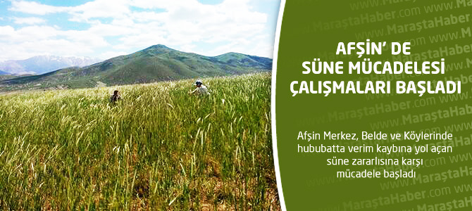 Afşin’de Süne Mücadelesi Çalışmaları Başladı