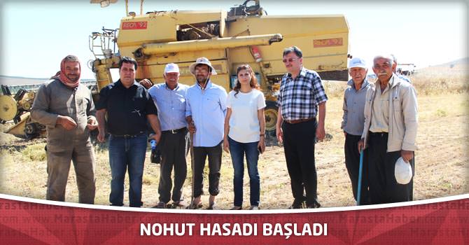 Nohut Hasadı Başladı