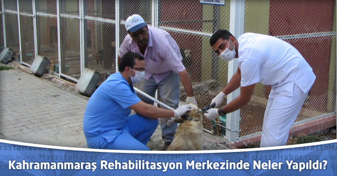 Kahramanmaraş Rehabilitasyon Merkezinde Neler Yapıldı?