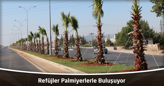 Kahramanmaraş’ta Refüjler Palmiyerlerle Buluşuyor