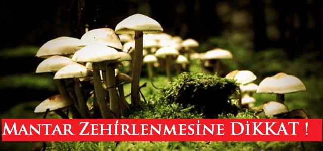 Mantar Zehirlenmelerine Dikkat!