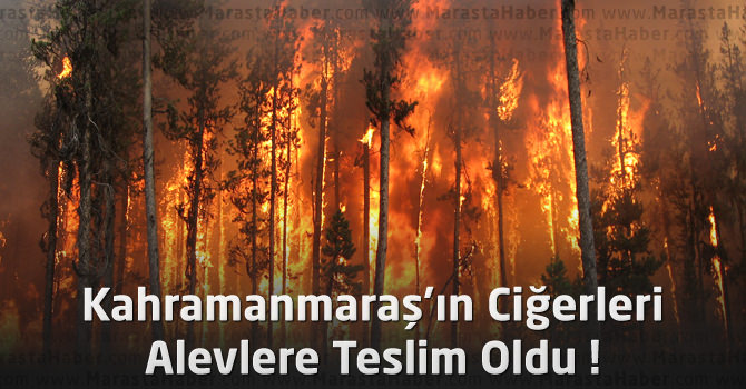 Kahramanmaraş'ta Orman Yangını