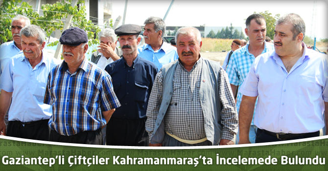 Gaziantepli Çiftçiler Kahramanmaraş’ta İncelemede Bulundu