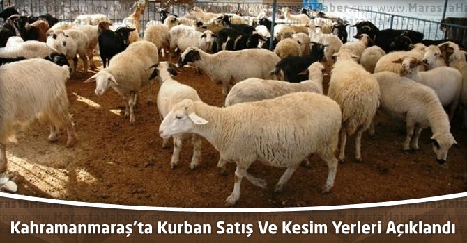 Kahramanmaraş’ta Kurban Satış Ve Kesim Yerleri Açıklandı