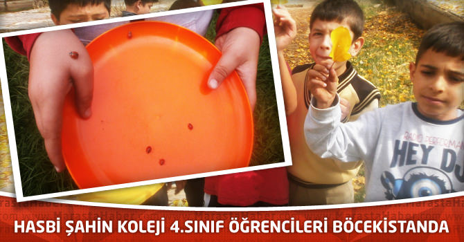 Hasbi Şahin Koleji 4.Sınıf Öğrencileri Böcekistan'da