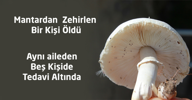 Mantar Yiyen Aileden Bir Kişi Öldü