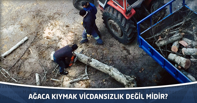 Ağaca kıymak vicdansızlık değil midir?