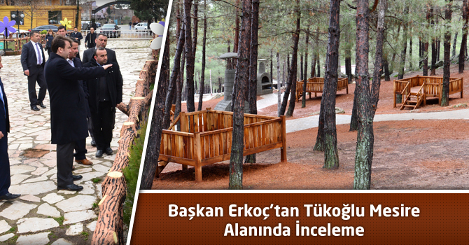 Başkan Erkoç’tan Tükoğlu Mesire Alanında İnceleme