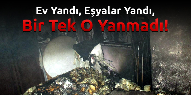 Ev Yandı, Eşyalar Yandı, Bir Tek O Yanmadı!