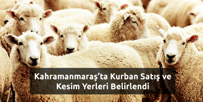 Kahramanmaraş'ta Kurban Satış ve Kesim Yerleri Belirlendi