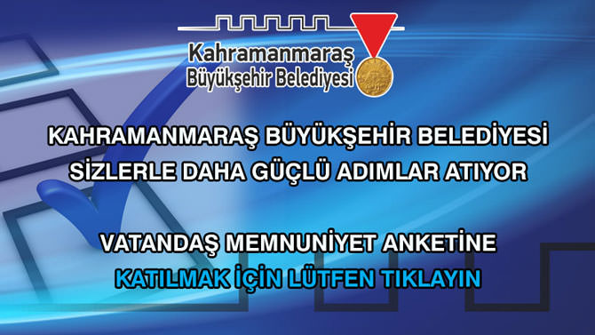 anket2014-1